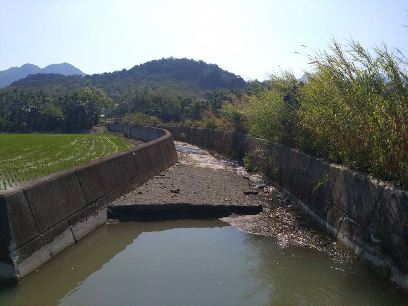 白石潭堤防旁排水溝淤積照片(東西向)