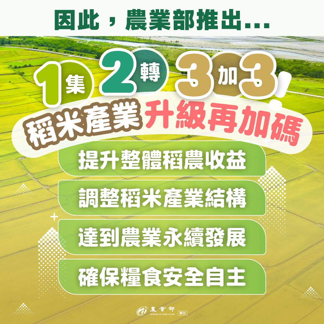 稻米產業精進政策1集、2轉、3加3！升級再加碼！