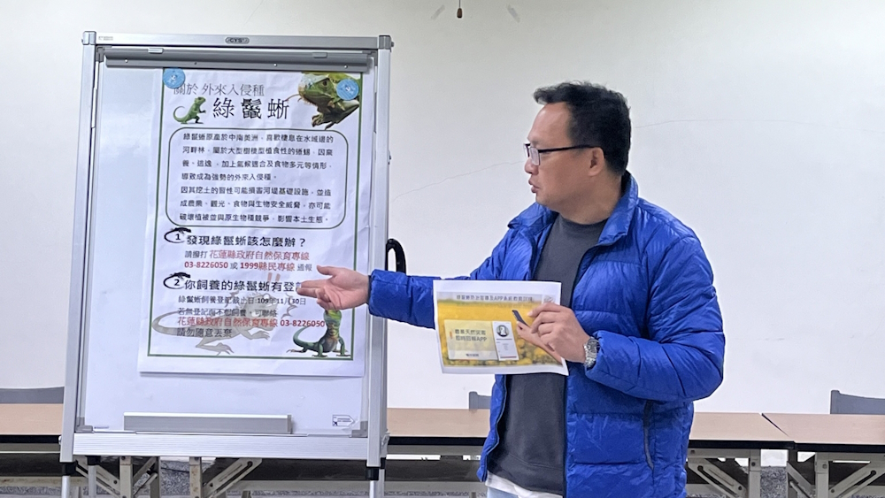 灌溉股長說明綠鬛蜥防治策略