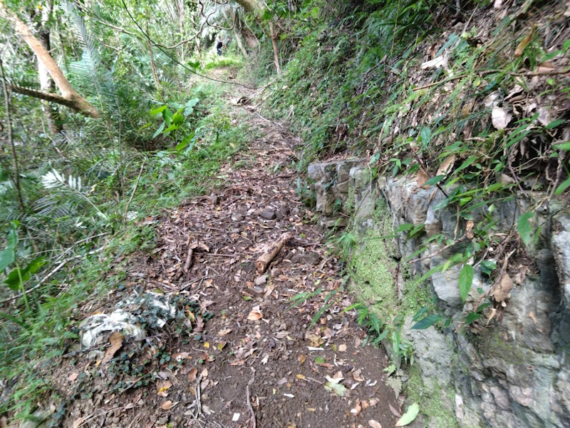 富里鄉永豐圳輸水管路接通、永豐圳2支1分線左側農路坍塌會勘