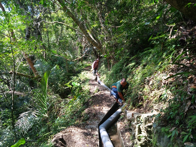富里鄉永豐圳輸水管路接通、永豐圳2支1分線左側農路坍塌會勘1