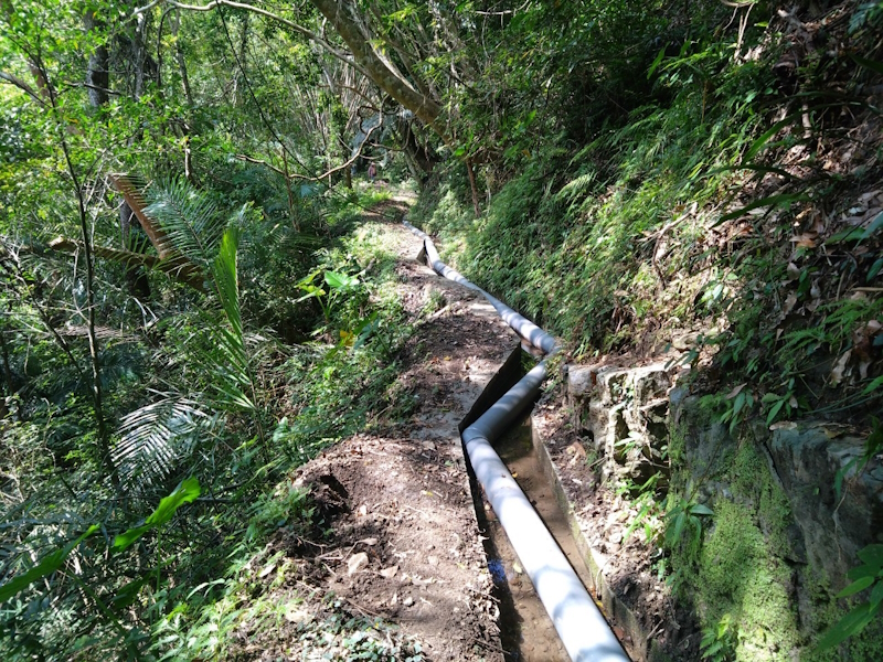 富里鄉永豐圳輸水管路接通、永豐圳2支1分線左側農路坍塌會勘