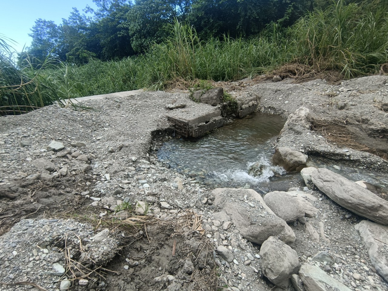 新城工作站進水口供水情形視察