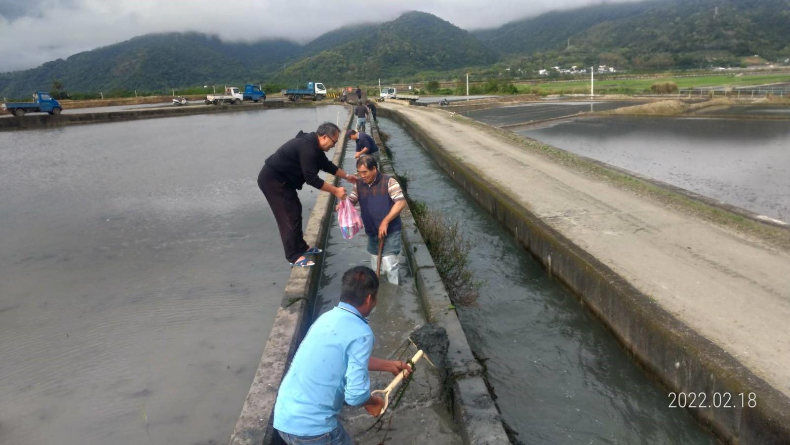 富里秋林圳用水農戶發揮農村互助精神 齊心清淤利人利己2