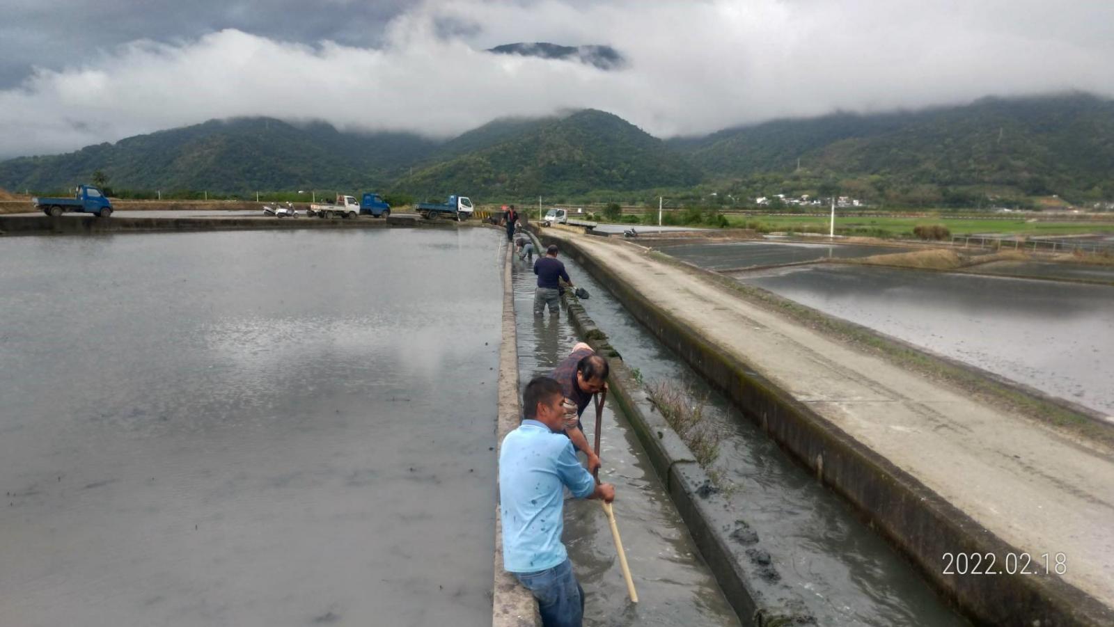 富里秋林圳用水農戶發揮農村互助精神 齊心清淤利人利己1