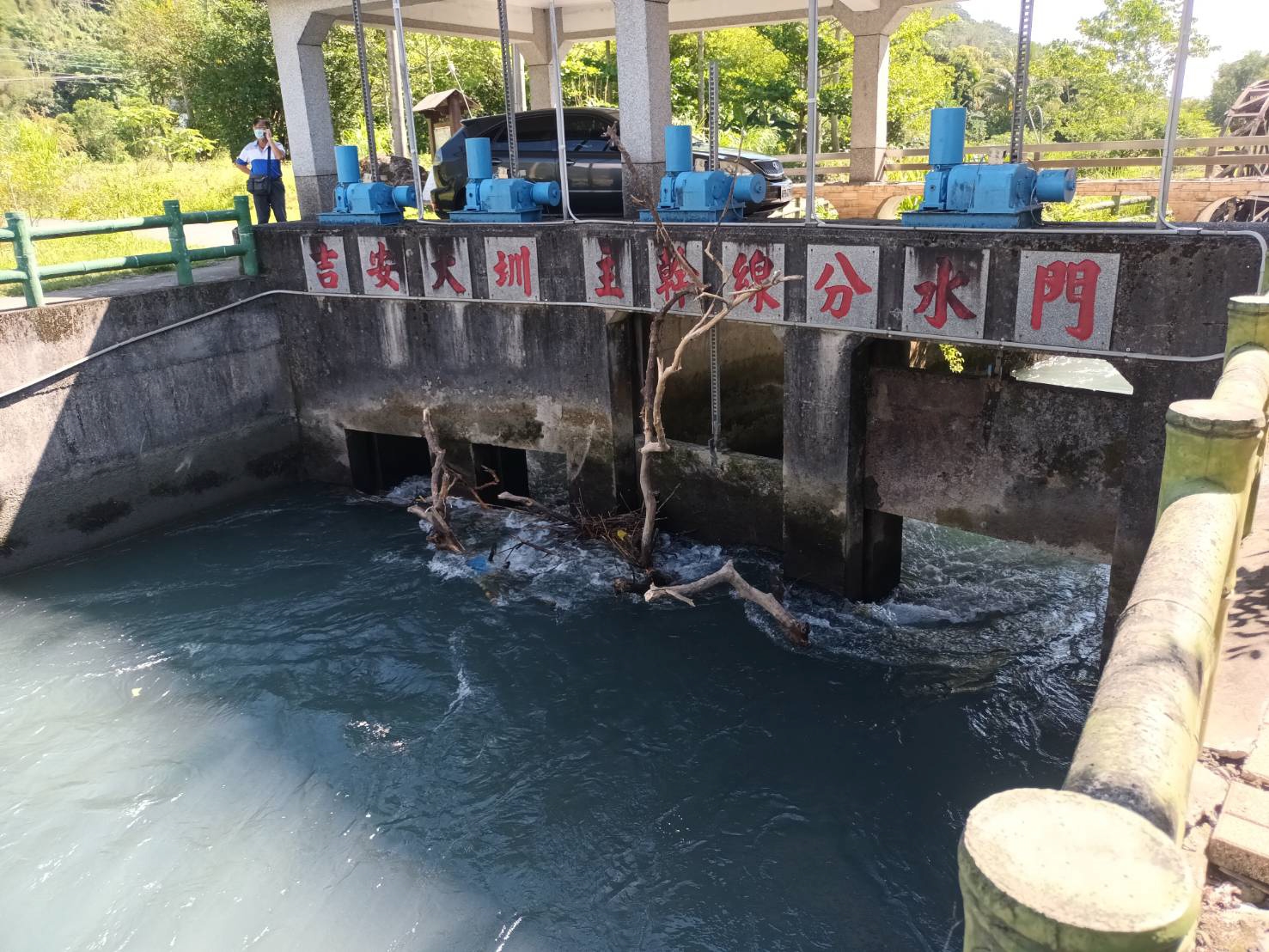 清除吉安大圳進水口風倒木1