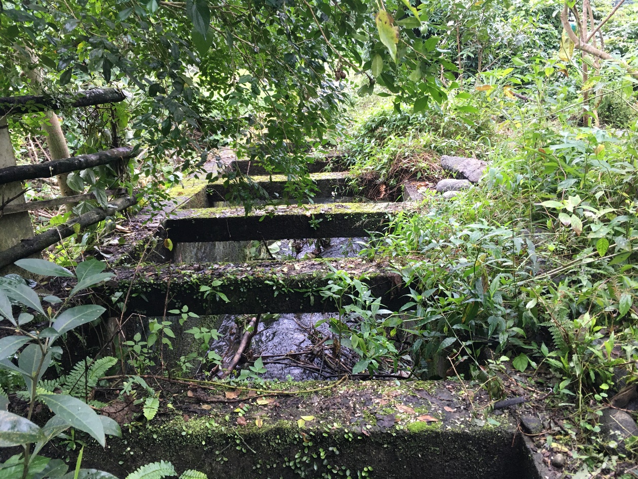 平林圳過水橋2
