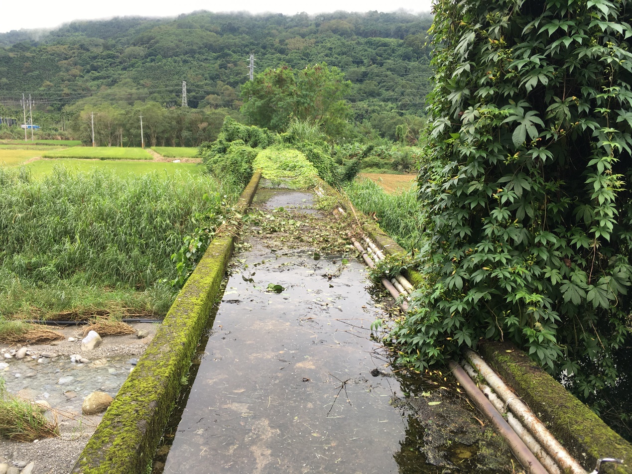 平林圳過水橋3