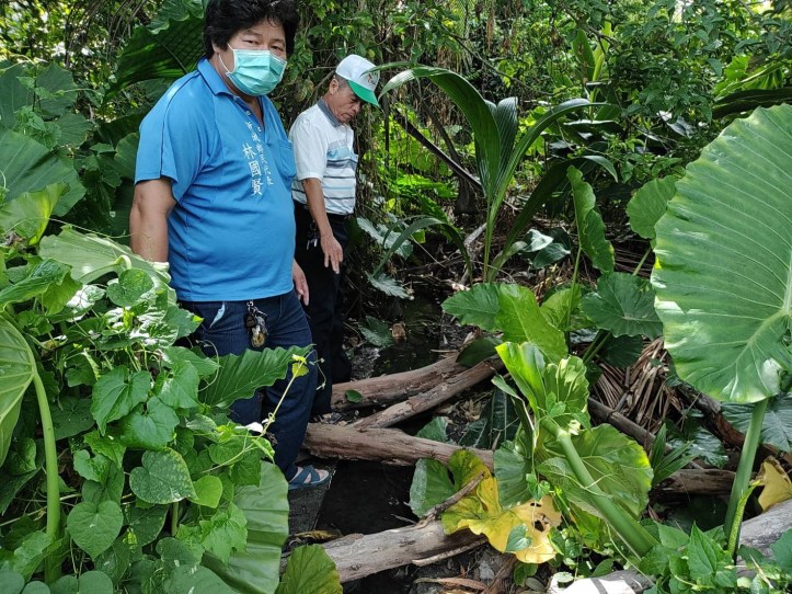 淤塞水溝會勘1